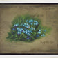 Forget Me Not