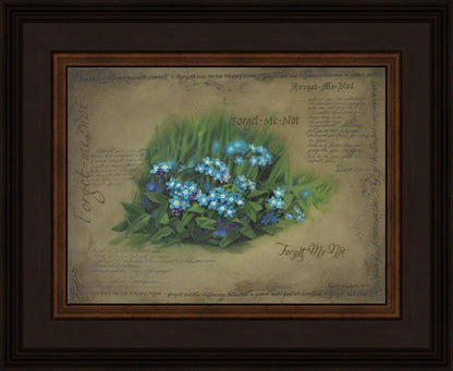 Forget Me Not