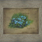 Forget Me Not