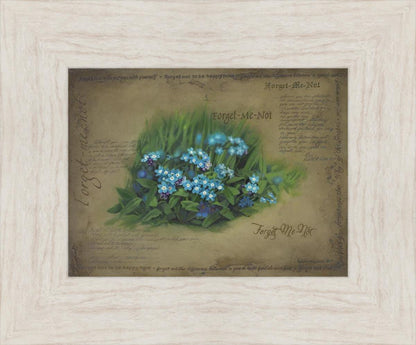 Forget Me Not