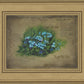 Forget Me Not