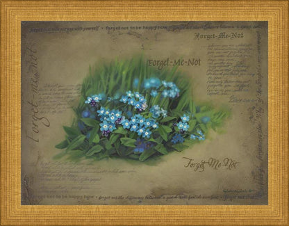 Forget Me Not