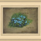 Forget Me Not