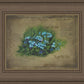 Forget Me Not
