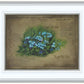 Forget Me Not