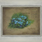 Forget Me Not