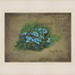 Forget Me Not