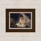 Feast Upon the Word