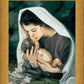 She Shall Bring Forth A Son
