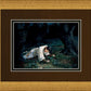 Gethsemane