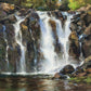 Always Captivating Plein Air