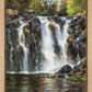 Always Captivating Plein Air