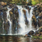 Always Captivating Plein Air