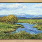 Spring Runoff on Camas Creek