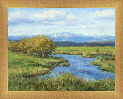 Spring Runoff on Camas Creek