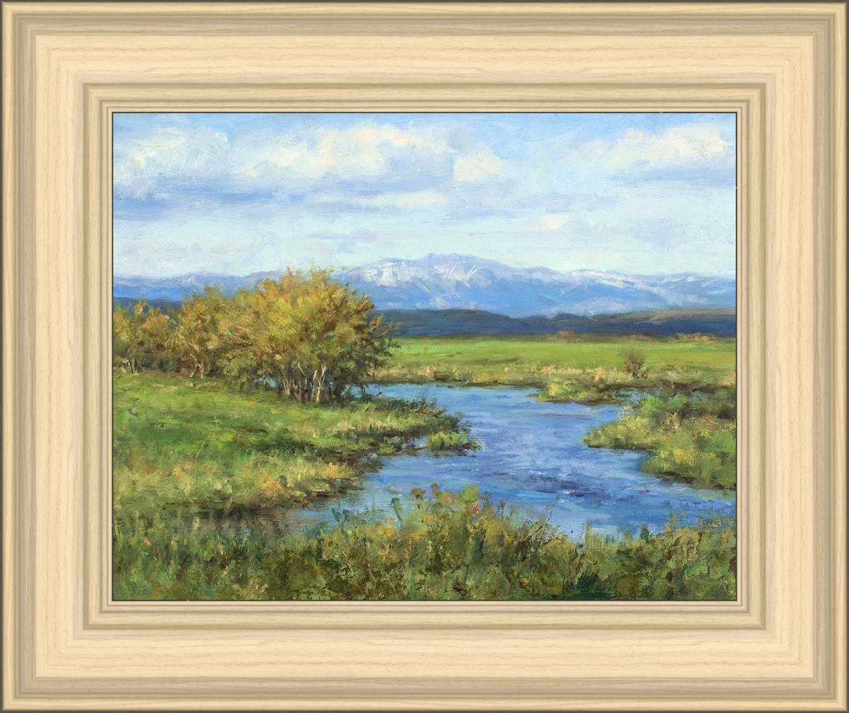 Spring Runoff on Camas Creek
