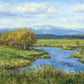 Spring Runoff on Camas Creek