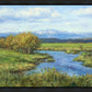 Spring Runoff on Camas Creek