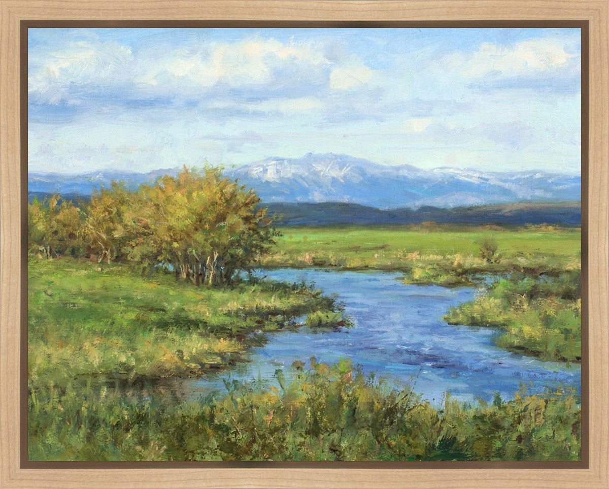 Spring Runoff on Camas Creek