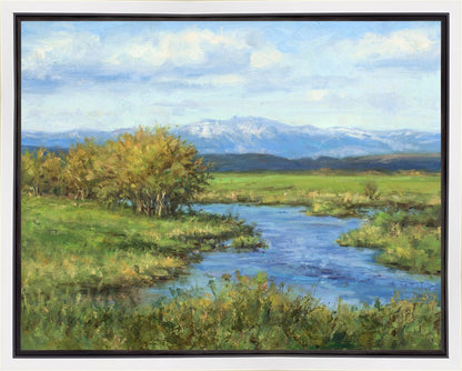 Spring Runoff on Camas Creek