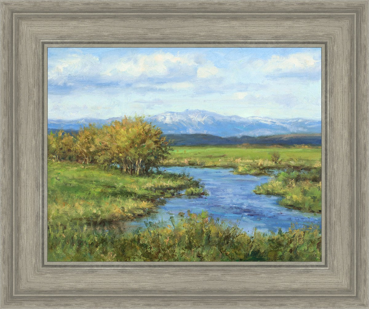 Spring Runoff on Camas Creek