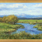 Spring Runoff on Camas Creek