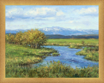 Spring Runoff on Camas Creek