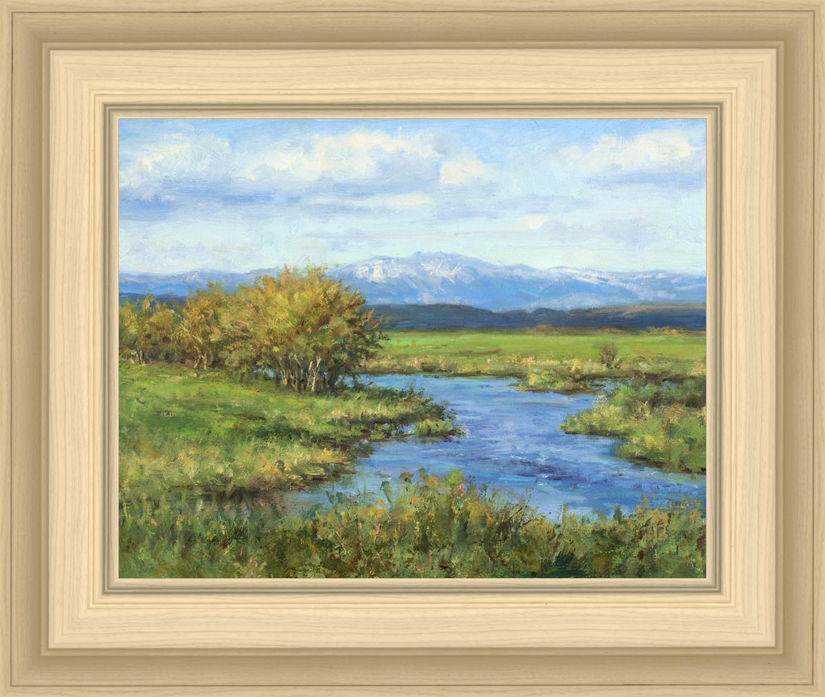 Spring Runoff on Camas Creek
