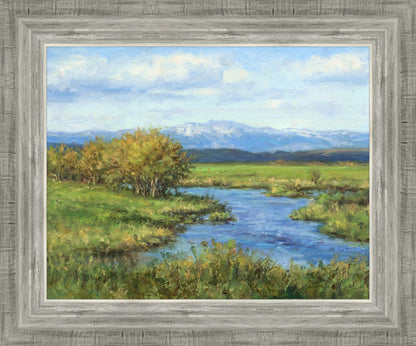 Spring Runoff on Camas Creek