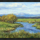 Spring Runoff on Camas Creek