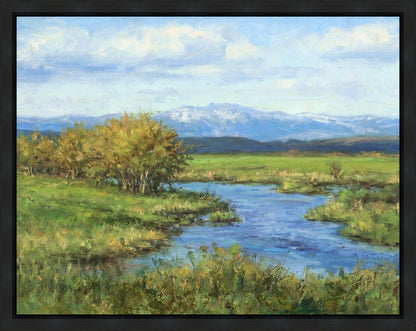 Spring Runoff on Camas Creek