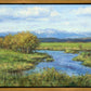 Spring Runoff on Camas Creek