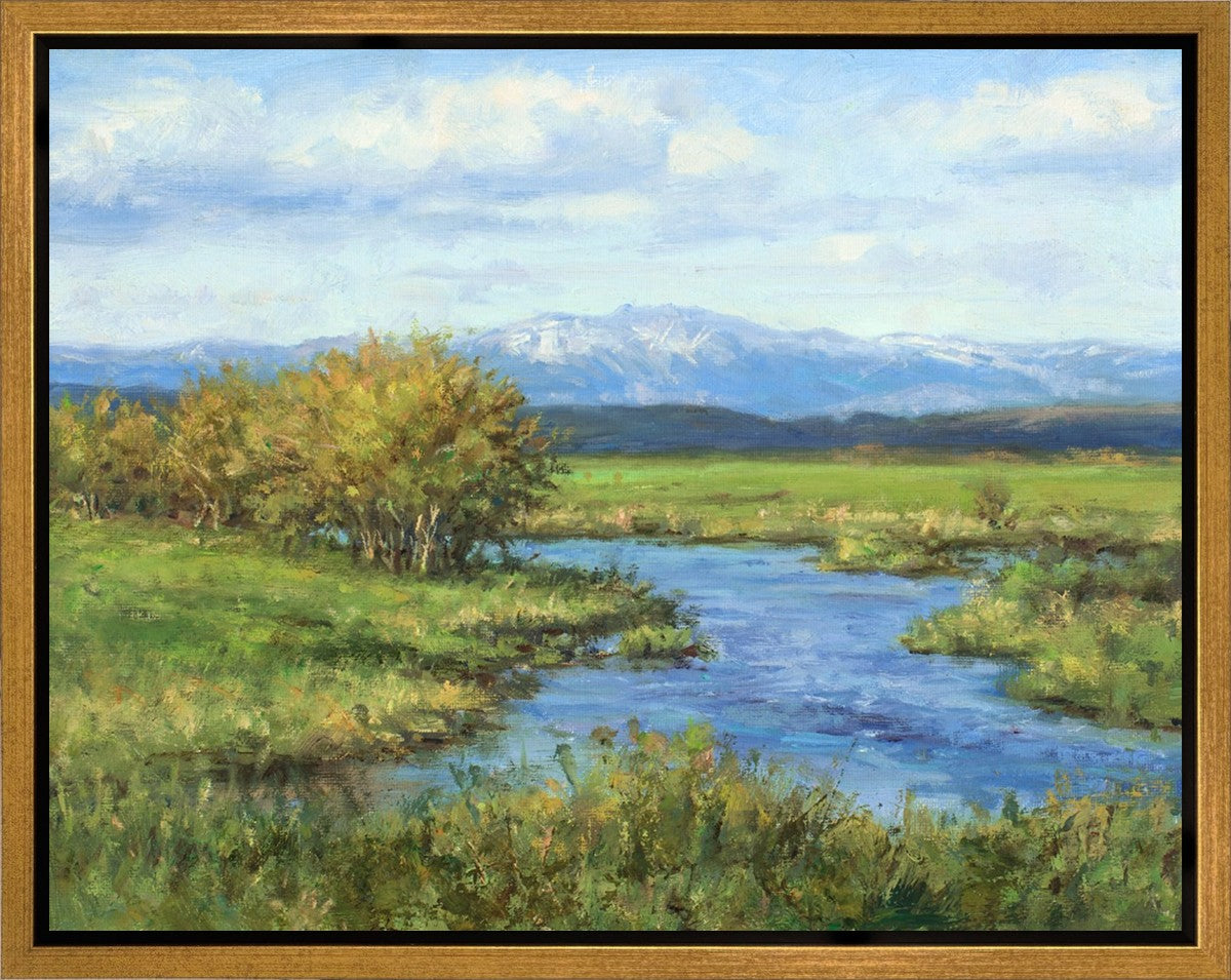 Spring Runoff on Camas Creek