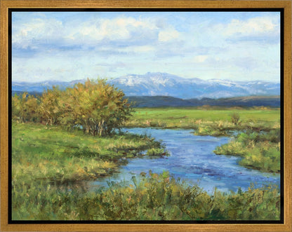 Spring Runoff on Camas Creek