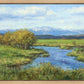 Spring Runoff on Camas Creek