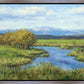 Spring Runoff on Camas Creek