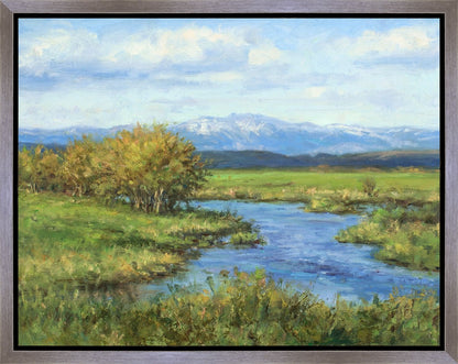 Spring Runoff on Camas Creek