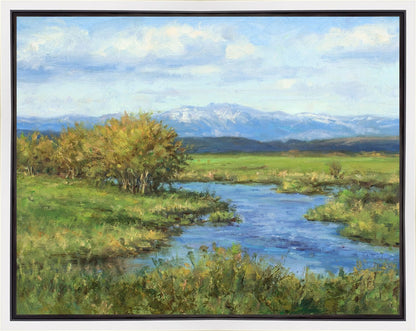 Spring Runoff on Camas Creek