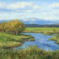 Spring Runoff on Camas Creek