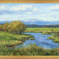 Spring Runoff on Camas Creek