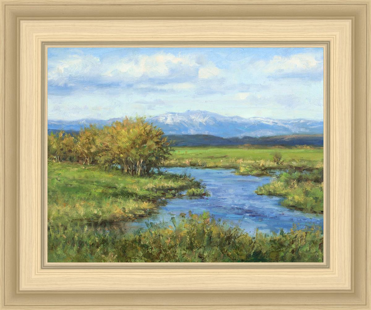 Spring Runoff on Camas Creek