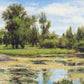 In The Rough Plein Air