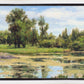 In The Rough Plein Air