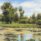 In The Rough Plein Air