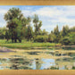In The Rough Plein Air