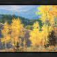 Aspen Ridge Plein Air
