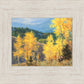 Aspen Ridge Plein Air