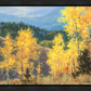 Aspen Ridge Plein Air