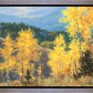 Aspen Ridge Plein Air