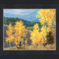 Aspen Ridge Plein Air